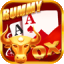 all rummy 51 bonus list